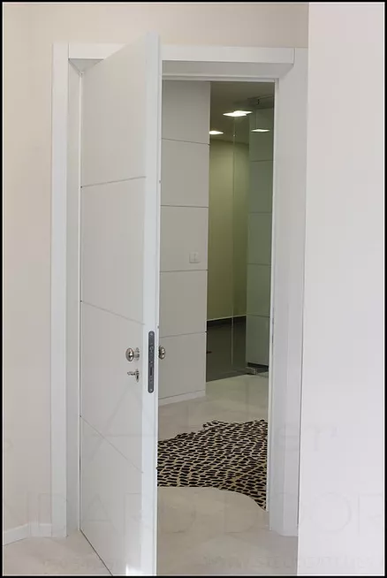 דלתות סתרים